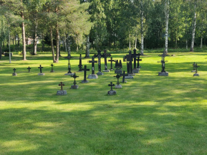 Rautaristit